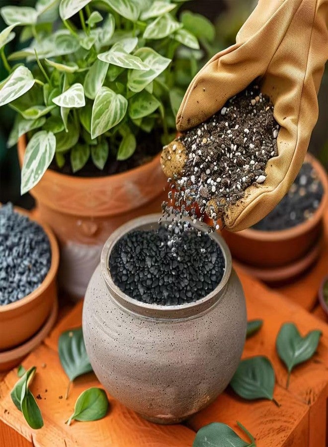 HappyFiller حصى أسود صغير من هابي فيلر، وزن 0.88 رطل، أحجار صغيرة، صخور صغيرة للنباتات العصارية، غطاء تربة للزراعة، أحجار صغيرة، حديقة خيالية، تراريوم، خيزران الحظ، تزيين سطح الصبار، حبيبات قاع حوض السمك - Image 2